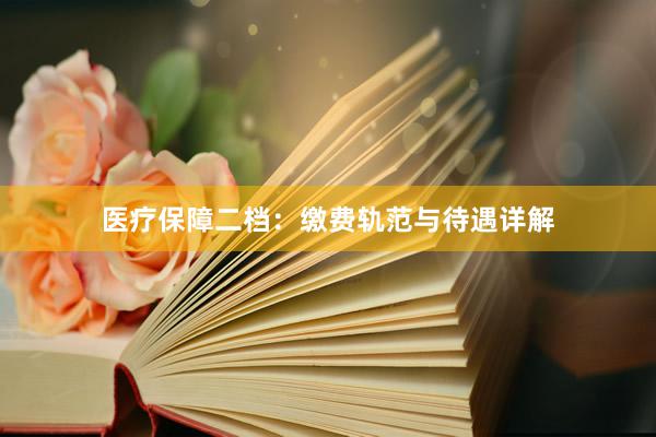 医疗保障二档：缴费轨范与待遇详解