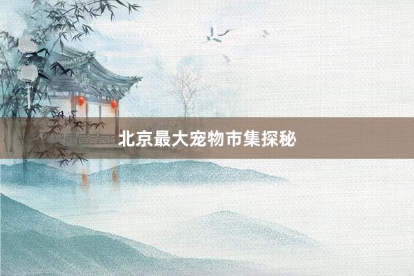 北京最大宠物市集探秘