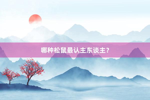 哪种松鼠最认主东谈主？